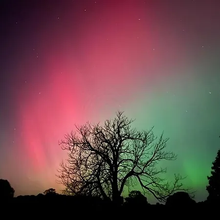 Tanyard - Whixley, York, North Yorkshire York